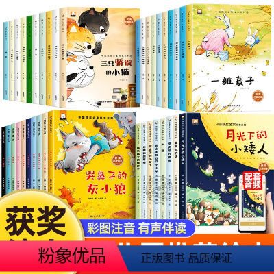 [全套38册]中国获奖名家绘本①②③④ [正版]名家获奖绘本3–6岁 幼儿园绘本阅读老师4—6岁5岁早教读物适合小班中班