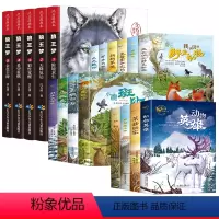 [全19册]狼王梦+百年经典动物小说 [正版]狼王梦沈石溪画本全5册 动物小说大王珍藏版完整版漫画版小学生四五六年级课外