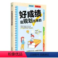 好成绩是规划出来的 [正版]好成绩是规划出来的 学习指南陪孩子走过小学6年唤醒孩子的内驱力培养小学生的自主学习能力好习惯