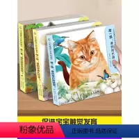 触摸书合集[共4册] [正版]小手摸摸大自然触摸书 幼儿早教触摸绘本1岁半宝宝婴儿书0-2-3岁撕不烂感官刺激训练玩具书