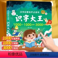 识字大王发声书 [正版]充电版宝宝早教启蒙认知发声书 0-1-2-3岁幼儿认知小百科手指点读发声书会说话的早教有声读物一