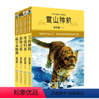 [正版]全套4册 沈石溪中外动物小说精品第三辑下 动物小说大王 雪山神豹 鼠王本格森 6-9-12岁少年儿童文学成长故