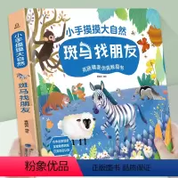 小手摸摸大自然·斑马找朋友 [正版]小手摸摸大自然斑马找朋友触摸书 婴儿书早教绘本宝宝1岁半立体书 幼儿启蒙不烂触感刺激