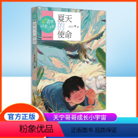 夏天的使命 [正版]夏天的使命 王天宁著 fb天宁哥哥成长小宇宙 少年儿童课外阅读图书籍 山东大学出版社