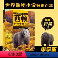 大力士熊王 [正版]大力士熊王(注音)[加]西顿/ 原著fb安韶编/安徽少年儿童出版社 外国文学/动物小说