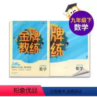 [正版]钟书金牌 全新 金牌教练九年级·数学下册 9年级下/九年级 数学下第二学期 附赠课时练习单元期中期末卷
