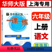 语文增强版 六年级上 [正版]2022华东师大版一课一练六年级上册语文增强版6年级上第一学期一课一练上海小学初中教辅课后