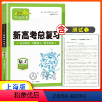 [正版]钟书金牌 金典导学案 语文 高三基础复习篇 上海新高考版 复习导学案+专题过关卷+配答案详解 适合参加新高考的