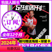 A[全年订阅24期]2024年1-12月882-905期 [正版]全年/半年订阅足球周刊杂志2024年1-6/7-12月