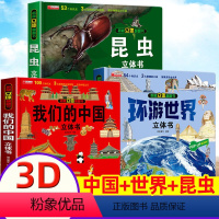 [中国+世界+昆虫]3D立体书(正版3册) [正版]昆虫立体书揭秘系列3d儿童翻翻书3-4-5-6-8岁宝宝启蒙认知动物