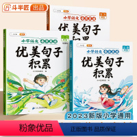 [1-6年级]优美句子积累大全(全3册) [正版]斗半匠优美句子积累大全小学生一年级二三四五六年级每日晨读作文素材书小学