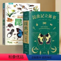 昆虫记立体书(组合套装) [正版]昆虫记 立体书 50个昆虫 上百个知识点 《中国国家地理》特约插画师出离绘制 小学生