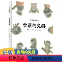 非凡动物绘本:卖萌的兔狲 [正版]非凡动物绘本:卖萌的兔狲 儿童绘本读物故事书3-5-7-8岁绘本童书 一二三年级小