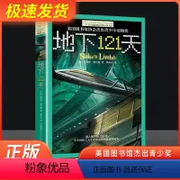 地下121天 [正版]霍尔曼儿童文学故事书9-12-15岁四五六年级中小学生课外书籍青少年阅读物少儿励志图书籍地下121