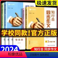 同步作文 三年级下 [正版]2024春 知行合同步作文三四五六年级下册人教版语文阅读理解专项训练素材积累小学生满分作文大