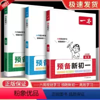 预备新初一 语文+数学+英语[3本套装] 小学升初中 [正版]2024一本预备新初一小学升初中语文数学英语阅读方法技巧初
