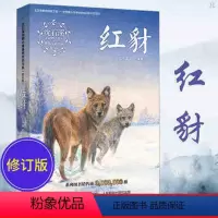 [正版]沈石溪动物小说感悟生命书系 红豺 经典彩绘本 青少年儿童课外阅读现当代小说小学生现代小说三年级四年级五年