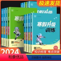 [3本]语文+数学人教版+英语人教版 小学三年级 [正版]寒假升级训练一年级二年级三年级四年级五年级六年级上册下册语文数