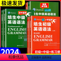 培生初级 英语语法[上下2册]小学 初中通用 [正版]培生英语语法+练习册(初级+中级)新概念英语1-4同步英语语法/剑