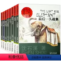 [正版]中外动物小说大王沈石溪的书全系列全集8册画本经典品藏书系后一头战象斑羚飞渡第七条猎狗红奶羊小学生四五六