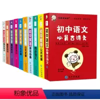 全套10册 [正版]学霸考试帮口袋书全10册