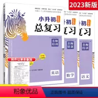 [小升初总复习]语数英 3本 小学升初中 [正版]2023小升初名师帮你总复习小学语文数学英语科学人教版六年级小升初必刷