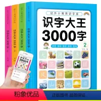 识字大王3000字-4本 [正版]幼小衔接儿童启蒙贴纸书2-3-4-5-6岁数学学拼音识字启蒙游戏贴纸书幼儿识字语文数学