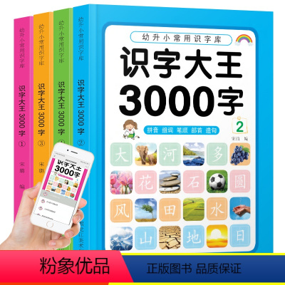 识字大王3000字-4本 [正版]幼小衔接儿童启蒙贴纸书2-3-4-5-6岁数学学拼音识字启蒙游戏贴纸书幼儿识字语文数学