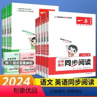 [语文]同步阅读 一年级下 [正版]2024新小学语文同步阅读训练一三二四五六年级上册下册英语阅读理解专项人教版 同步课