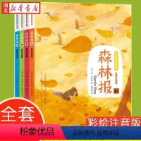 [全4册]森林报 [正版]森林报 春夏秋冬全套4册小学四年级下册课外阅读书全集6-9-12岁小学生科普故事书 维比安基著