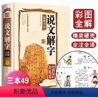 [正版]国学典藏馆 说文解字图解详析 许慎 彩图珍藏版 中国文化语言工具书语言文字 国学经典书籍教科书文白对照 文言文