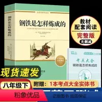 钢铁是怎样炼成的(赠考点大全) [正版]钢铁是怎样炼成的 原著八年级下册初二下阅读的课外书必读名著初中书籍人教版世界文学