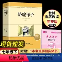 骆驼祥子(赠考点大全) [正版]骆驼祥子原著老舍 小学生五年级六年级必读课外书籍 老师无障碍阅读 导读版青少年版天地出版