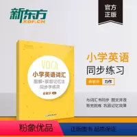 [正版]新东方小学英语词汇图解+联想记忆法同步学练测 俞敏洪单词书小升初考试背单词词汇练习 书籍