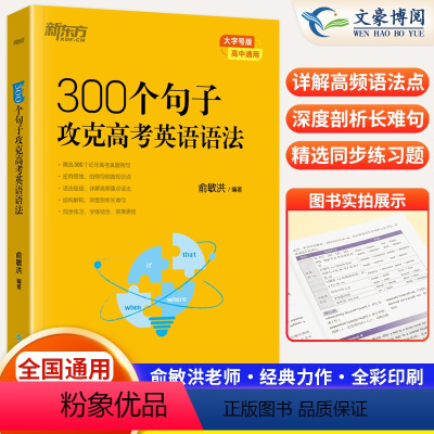 英语 300个句子攻克高考英语语法(全国通用) [正版]300个句子攻克高考英语语法 高中英语备考2024高考复习高考大
