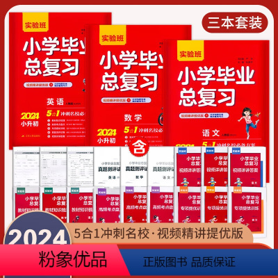 ❤️[总复习3本]语文+数学+英语-全国通用 小学升初中 [正版]2024版实验班小学毕业总复习语文数学英语人教版全国通