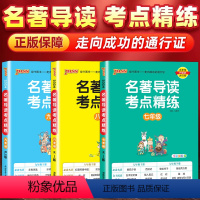 [7-9年级全套3册]名著导读考点精练 初中通用 [正版]2024名著导读考点精练初中经典常谈七八九年级必读名著导读与考