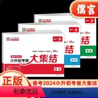 [考卷大集结]语文 小学升初中 [正版]2024小升初考卷大集结冲刺新卷语文数学英语小学毕业升学总复习资料专项强化训练必