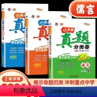 语文+数学+英语 小学升初中 [正版]2024版小升初真题分类卷语文数学英语 重点中学招生小升初分类集训必刷题专项训练押