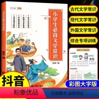 小学生必背文学常识 小学通用 [正版]斗半匠小学生必背文学常识积累基础知识大全人教版语文手册注音版一本全诗词古代现代国外