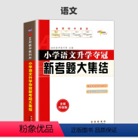 语文 小学升初中 [正版]2024新版小学语文升学夺冠新考题大集结 小升初知识大集结语文专项训练知识大全小学毕业升学总复