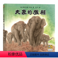 大象的旅程 [正版]BK大象的旅程