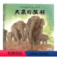 大象的旅程 [正版]BK大象的旅程