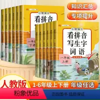 [基础薄弱必入]看拼音+阅读理解 一年级上 [正版]看拼音写生字词语一二三四五六年级下册上册语文拼音拼读专项练习