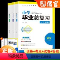 3本 语文+数学+英语 小学六年级 [正版]小学毕业总复习全真模拟全套3册语文数学英语人教版小升初真题卷专项练习册小学六