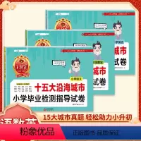[十五大沿海城市]语文+数学+英语 小学通用 [正版]2024王朝霞试卷城市卷小升初五大十大十五大城市小学毕业检测指导卷