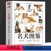 [正版]名犬图鉴 宠物犬特征与习性大全 宠物犬科普知识百科全书 宠物狗喂养常识饮食护理 爱犬人士应用手册 家庭亲子科普