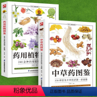 [正版]铜版纸全2册药用植物图鉴+中草药图鉴中草药野外识别图鉴中草药书入门医学书籍中医入门初学者常见中草药自学药学中药