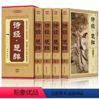 [正版]完整无删减诗经.楚辞 原著全集 彩图插画 原文译注文白对照 无障碍阅读 珍藏版 古诗词大全集 诗词歌赋书籍全古