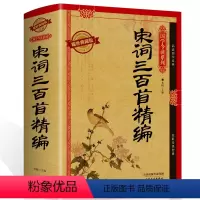 [正版] 宋词三百首精编 精装图文耀世典藏版国学今读系列书籍文白对照中国古诗词 宋词三百首精编注释译文赏析国学经典图书